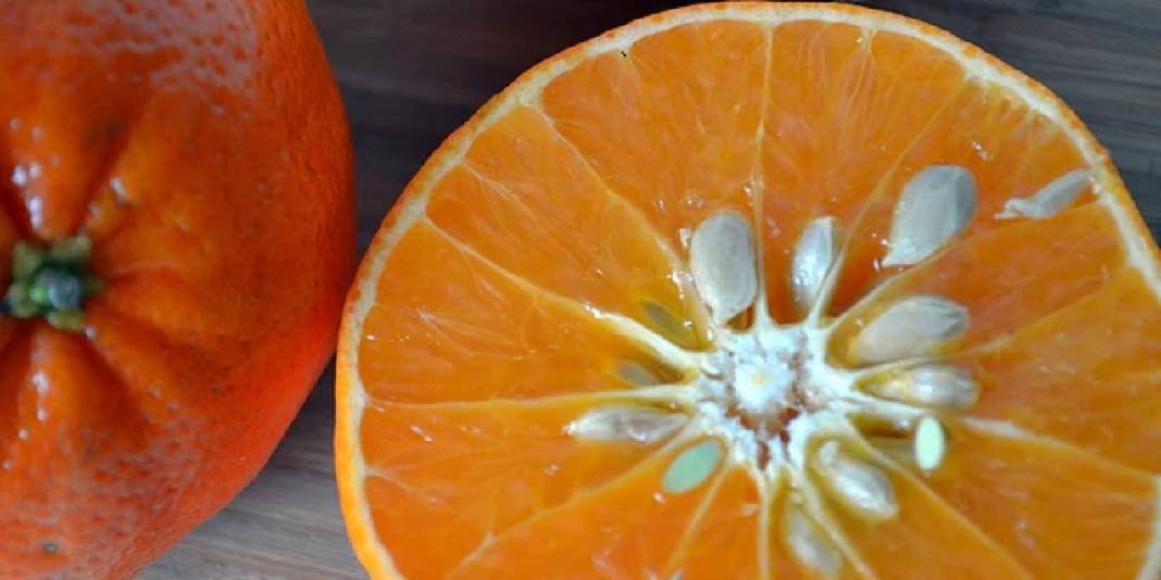 Kendisi ve kabuğu kadar çekirdeği de faydalı çıktı! İlaç gibi yutun, bilen çöpe atmıyor 3